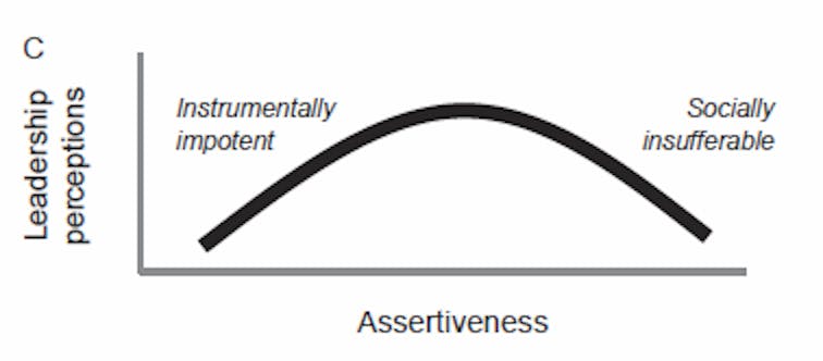 Leadership Perceptions
