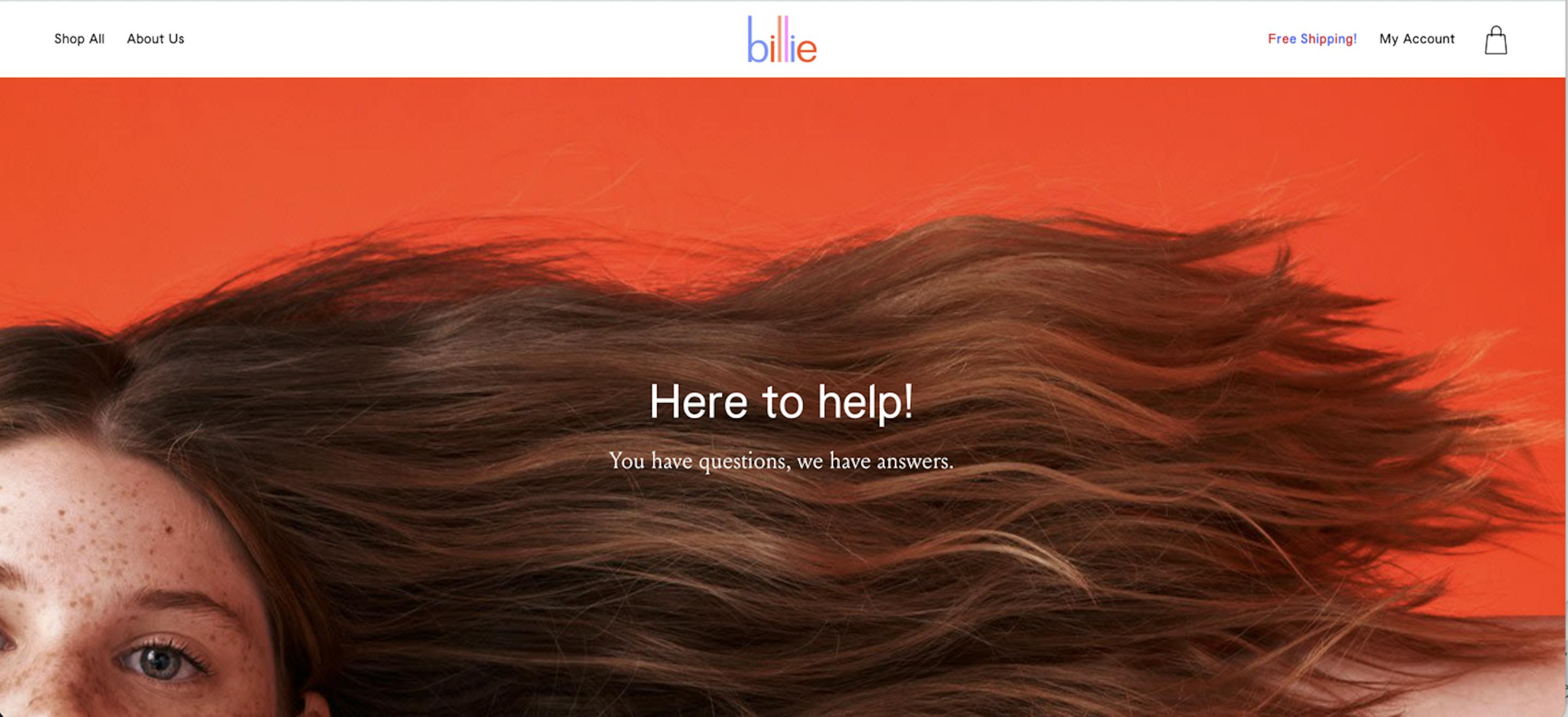 billie knowledge base example